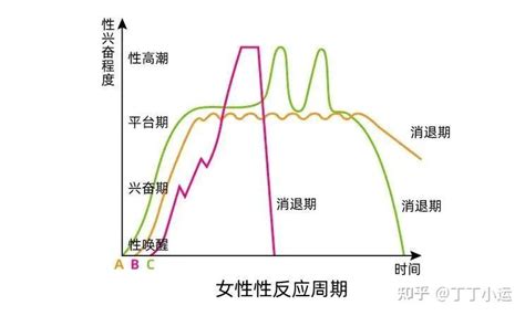 男女性需求|性需求